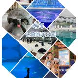 海洋公园两天一晚小攻略