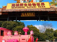 -常州淹城野生动物世界