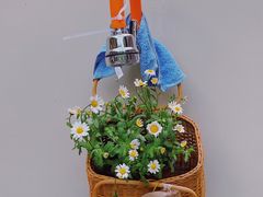 -稀物集咖啡(徽州大道店)