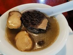 -蘑统田下·野生菌火锅