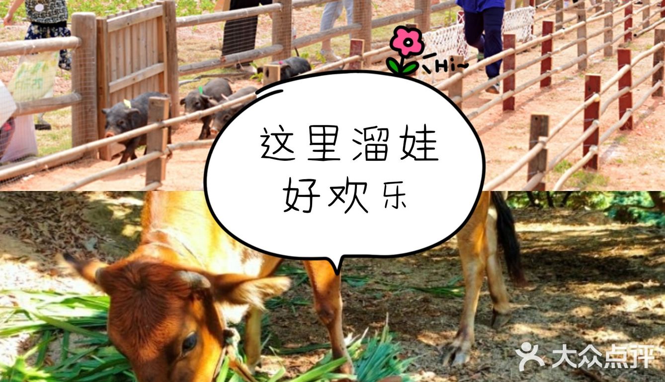 六一去哪里！阿菠萝小猪的王国！不容错过！😊 
