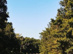 -晓港公园