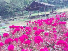 -白云源风景区