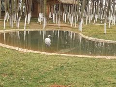 -艾溪湖湿地公园