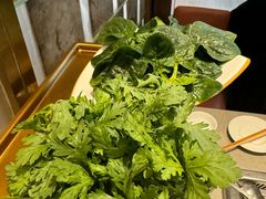 -海底捞火锅(龙岗星河COCO Park店)