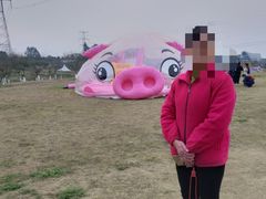 -紫颐香薰山谷景区