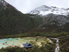 -黄龙山原始森林景区