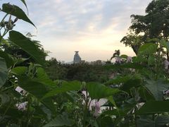 -仙岳公园