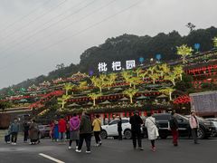 -枇杷园食为鲜火锅(南山店)