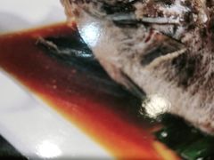 -紫光园·烤鸭·北京菜(劲松店)