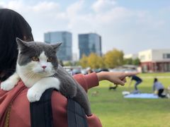 -栖露营camping·天幕烧烤·团建拓展·采摘营地