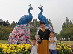 -祥源·阜阳生态乐园