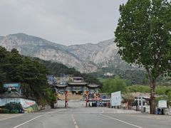 -大芦花风景区