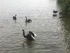 -南通濠河风景名胜区