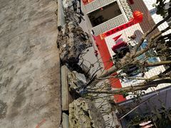 -千岛湖石林