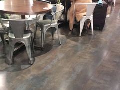 大堂-新旺茶餐厅(嘉里城店)