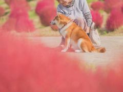 -延成苑韩式烤肉店(长春道店)