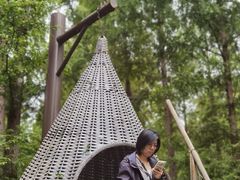 -黄海国家森林公园