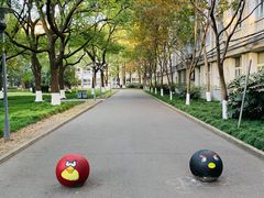 -上海大学(嘉定校区)