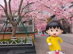 -首开·龙湖成都西宸天街