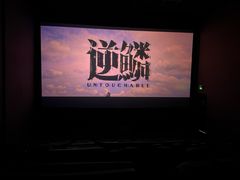 -幸福蓝海国际影城(河西店)