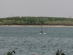 -丁香湖公园