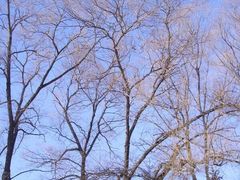 -鸡西市农垦高中学校