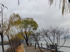 -无锡蠡湖国家湿地公园-蠡园
