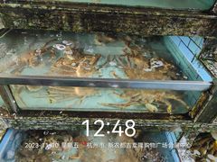 -新农都水产市场