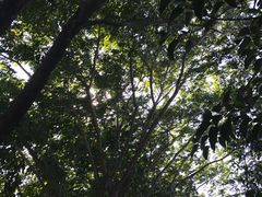 -华南国家植物园-售票处