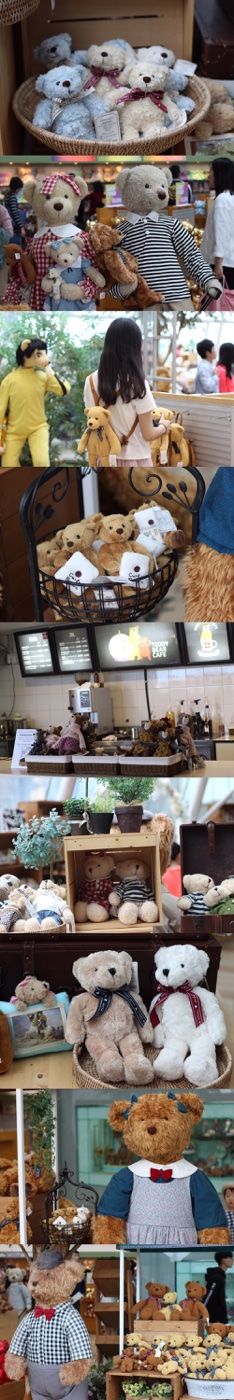 -济州岛泰迪熊博物馆