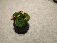 -南堂馆·新川菜(春熙路店)