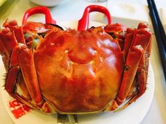 -新光酒家·河豚·海鲜·蟹料理(浦东店)