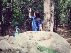 -西安秦岭野生动物园