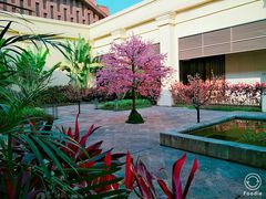 -西双版纳融创皇冠假日度假酒店