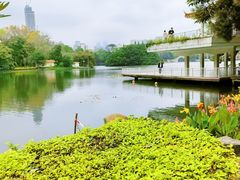 -荔枝公园(福田区)