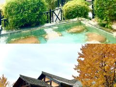 -崇阳三特浪口温泉
