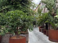 -The Grounds of Alexandria