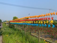 -上海长兴岛郊野公园