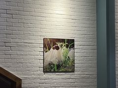 -菌乡缘·野生菌蒸汽鱼火锅(江边夜市店)
