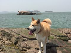 -长岛南北长山旅游景区