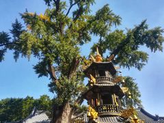 -青檀寺景区