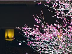 -慧因高丽寺