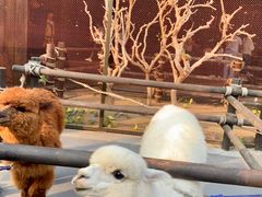 -波塞冬旅游度假区