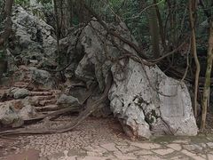 -杭州西湖风景名胜区-三生石