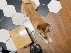 -About Bistro關於·泰式家庭料理