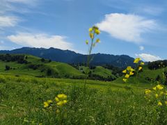 -新疆那拉提国家旅游度假区