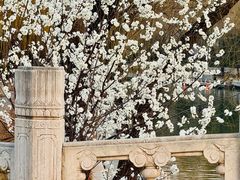 -南长河公园