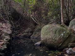 -梧桐山风景名胜区