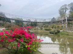 -东莞植物园